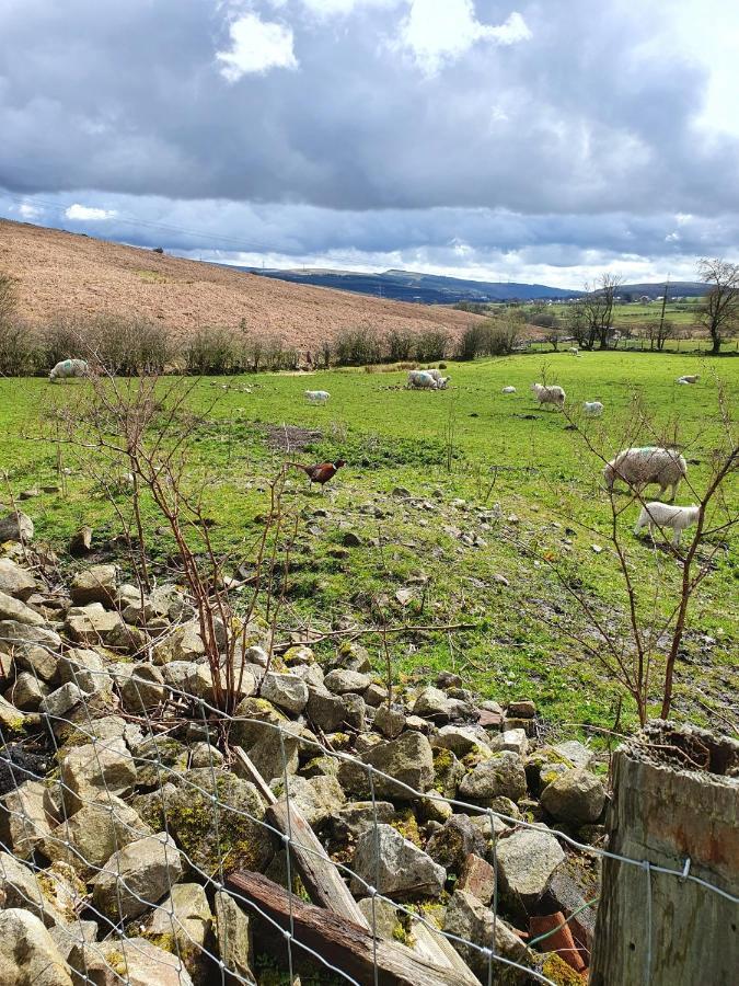 Wales' Highest Village - The Chartist Cottage - Trefil Tredegar Екстер'єр фото