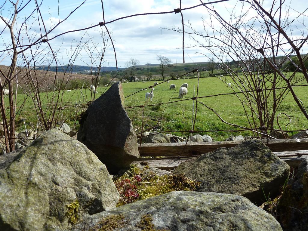 Wales' Highest Village - The Chartist Cottage - Trefil Tredegar Екстер'єр фото